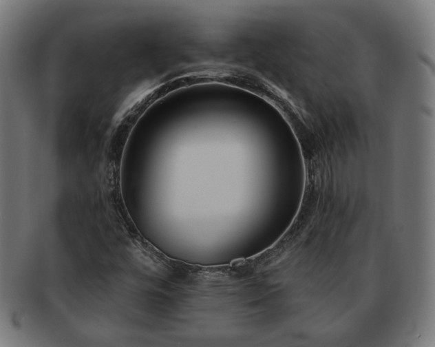 X0000091701448200708311042
