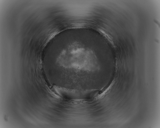 X0000091701449200708311042