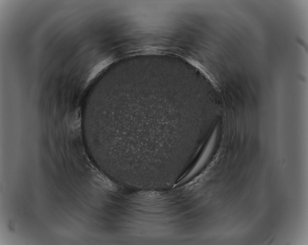 X0000091701450200708311042
