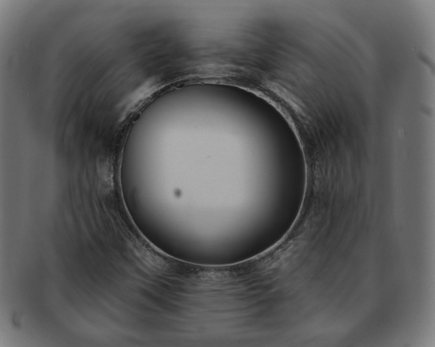 X0000091701451200708311042