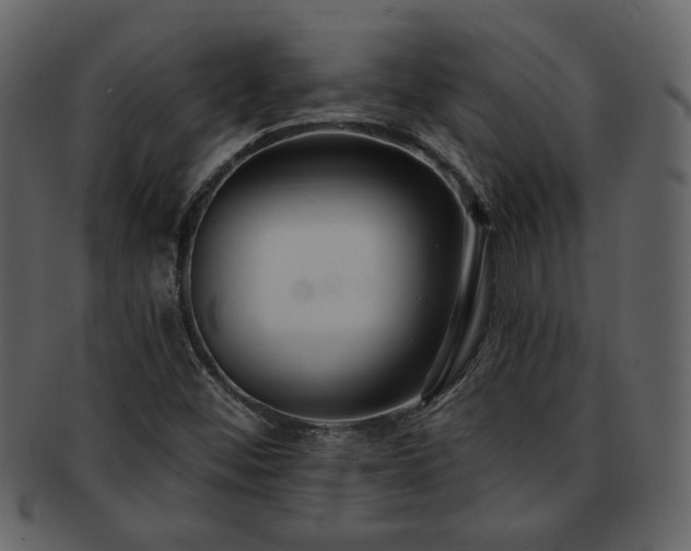 X0000091701452200708311042