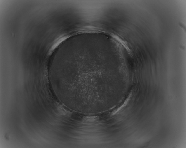 X0000091701453200708311042