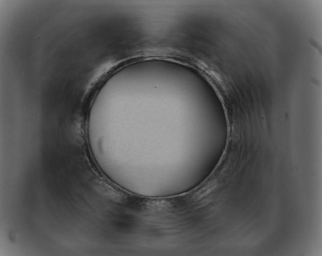 X0000091701454200708311042