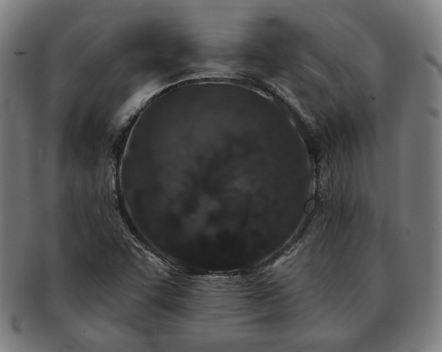 X0000091701455200708311042