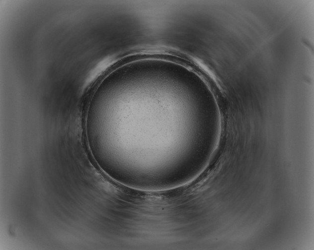 X0000091701456200708311042