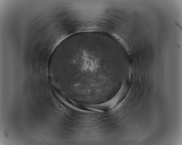 X0000091701457200708311042