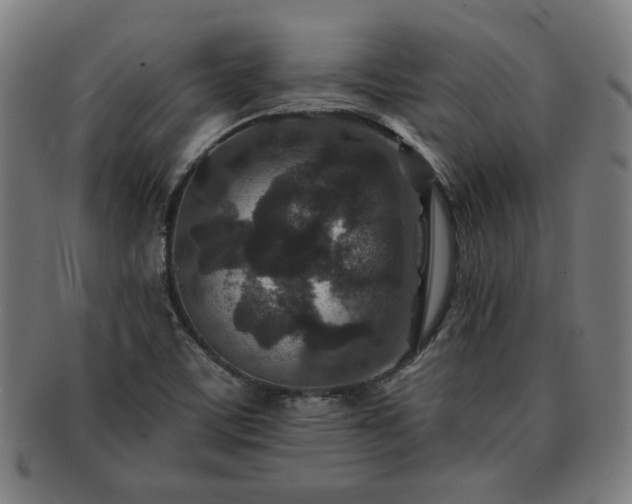 X0000091701459200708311042