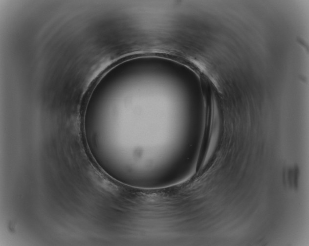 X0000091701460200708311042