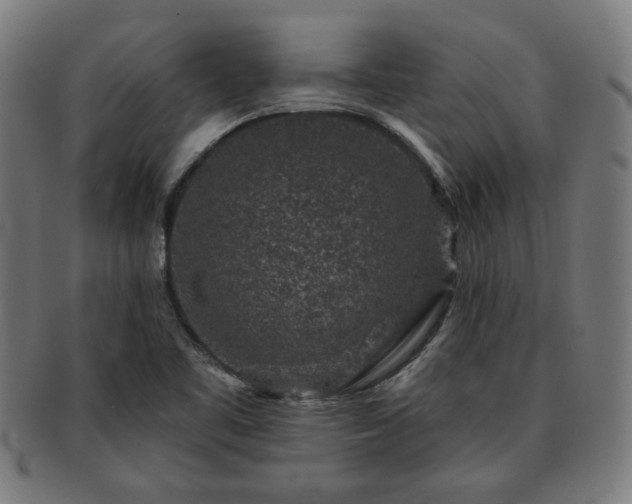 X0000091701461200708311042