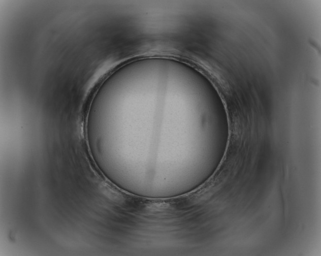 X0000091701462200708311042