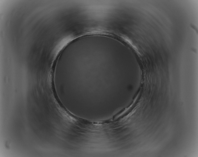 X0000091701463200708311042