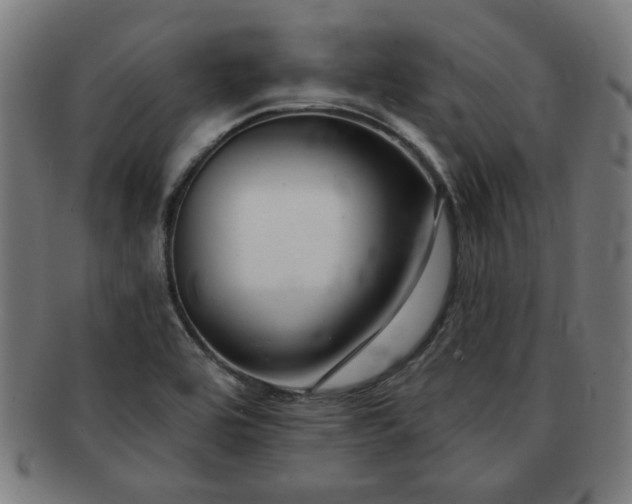 X0000091701464200708311042