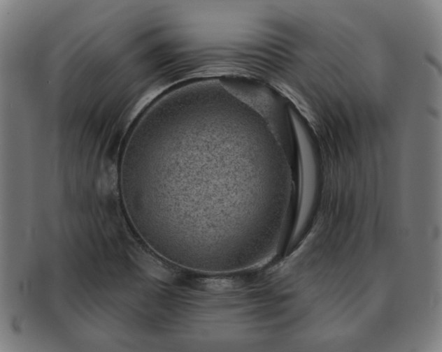X0000091701465200708311042