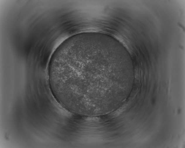 X0000091701466200708311042