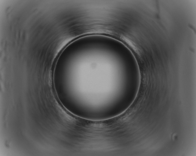 X0000091701468200708311042