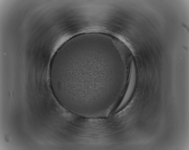 X0000091701469200708311042