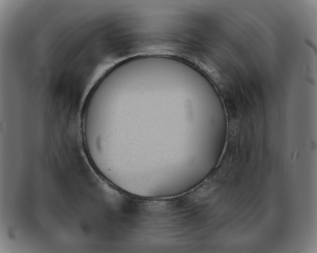 X0000091701470200708311042