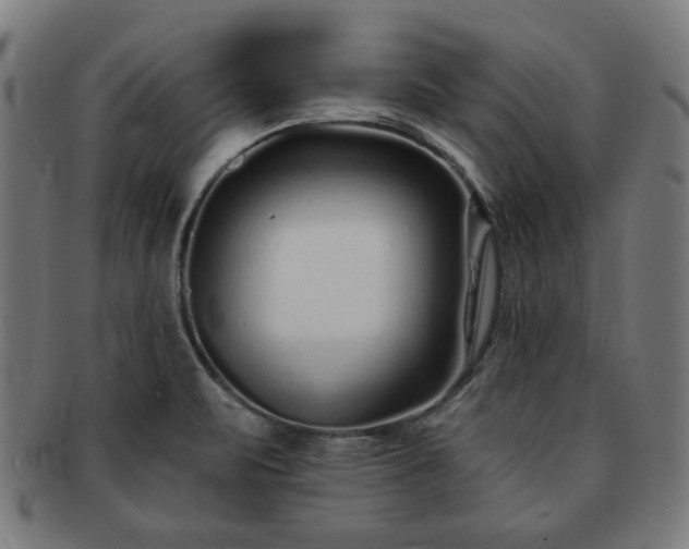 X0000091701471200708311042
