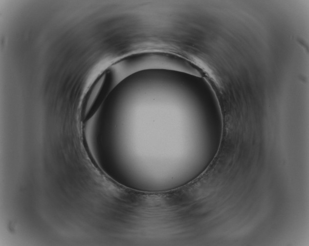 X0000091701472200708311042