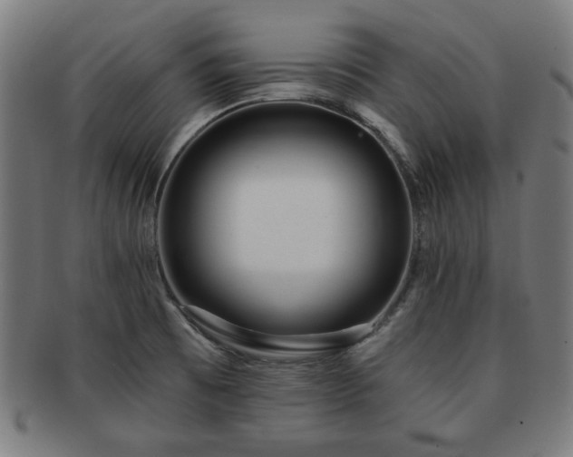 X0000091701473200708311042