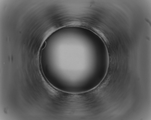 X0000091701475200708311042