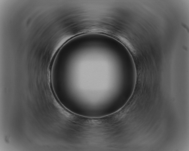 X0000091701476200708311042