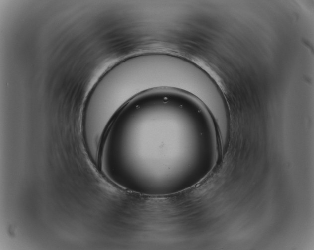 X0000091701477200708311042