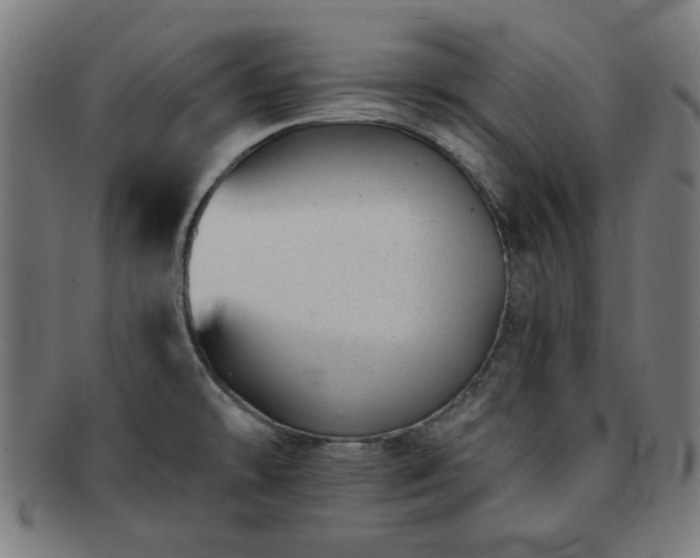 X0000091701478200708311042