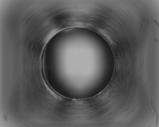 X0000091701479200708311042
