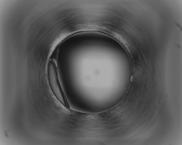 X0000091701480200708311042