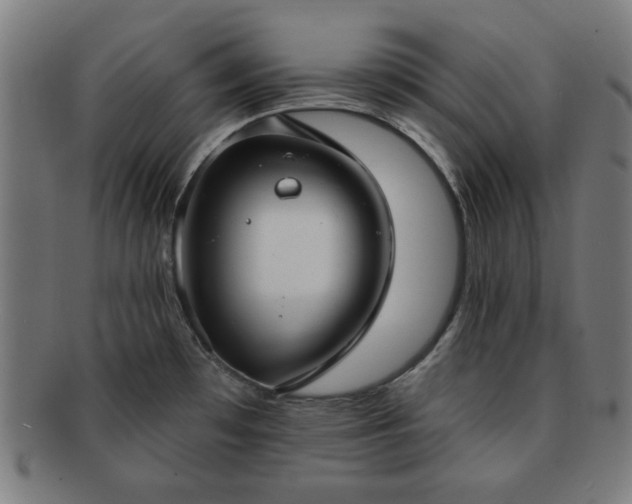X0000091701481200708311042