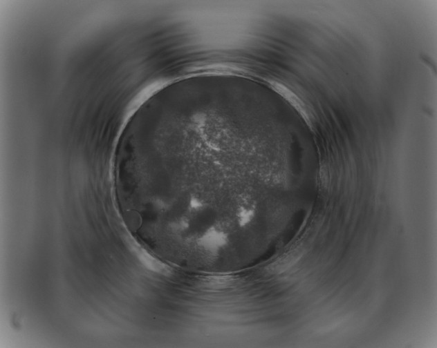 X0000091701482200708311042