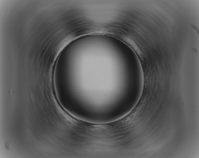 X0000091701483200708311042