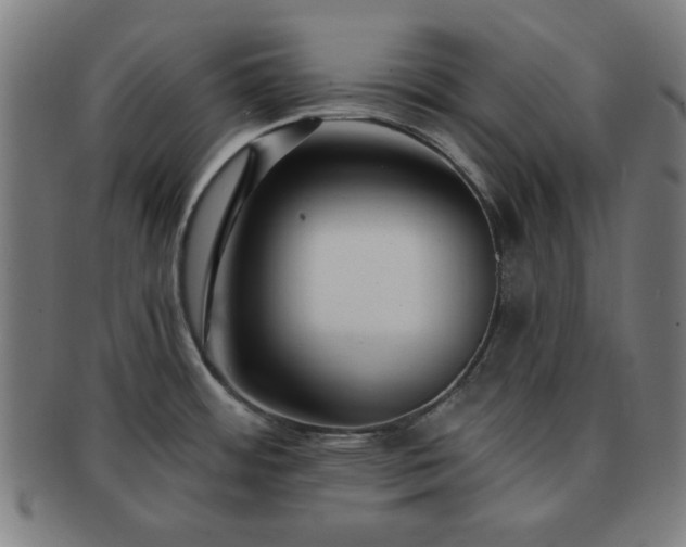 X0000091701484200708311042