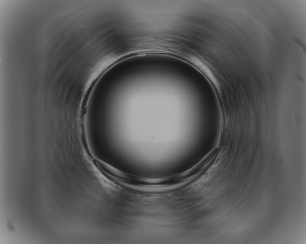 X0000091701485200708311042