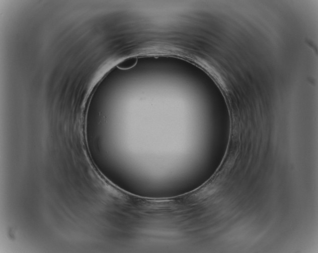 X0000091701486200708311042