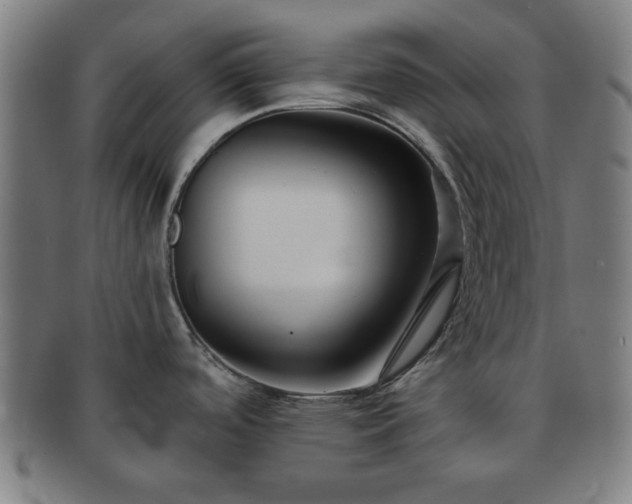 X0000091701488200708311042