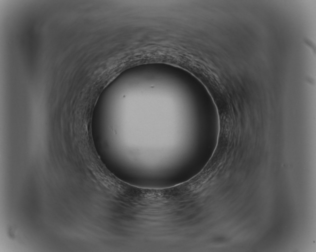 X0000091701489200708311041