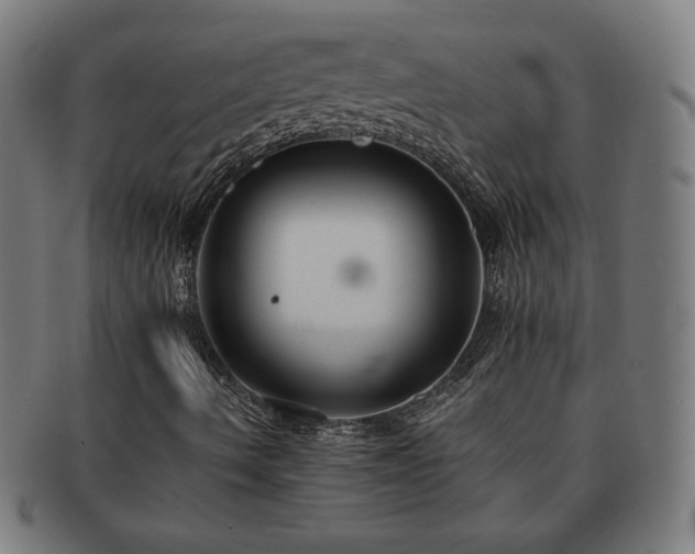 X0000091701490200708311041