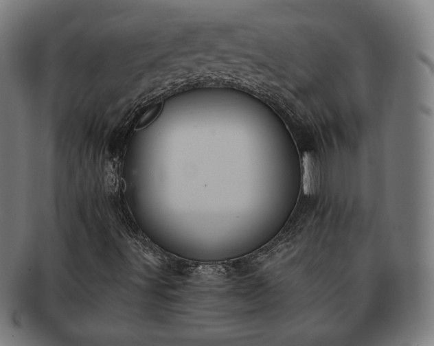 X0000091701491200708311041