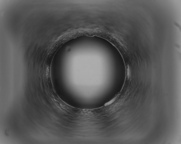 X0000091701492200708311041