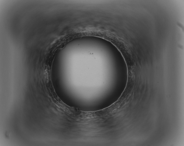 X0000091701493200708311041