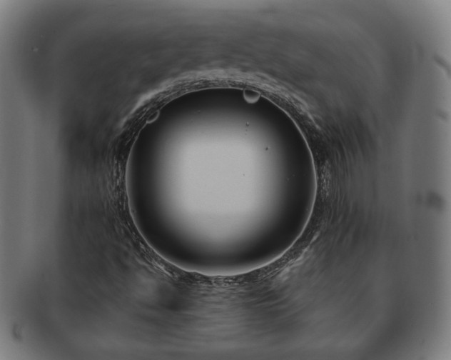 X0000091701494200708311041
