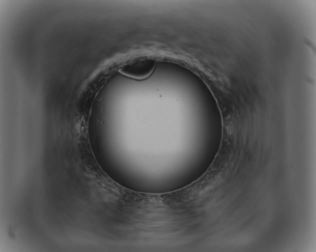 X0000091701495200708311041