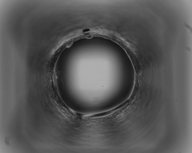 X0000091701496200708311041