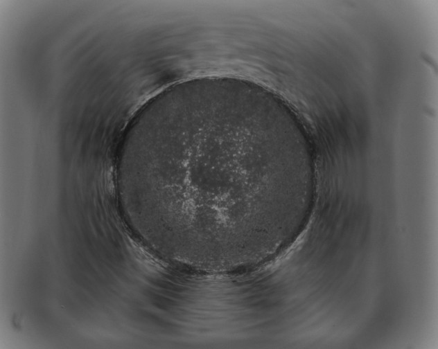 X0000091701497200708311041