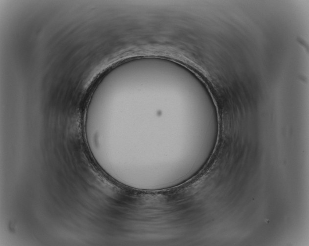 X0000091701498200708311041