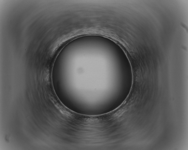 X0000091701499200708311041