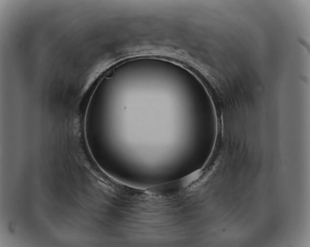 X0000091701501200708311041