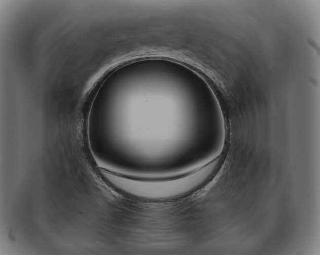 X0000091701502200708311041